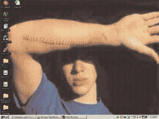 desktop image 11/15/01